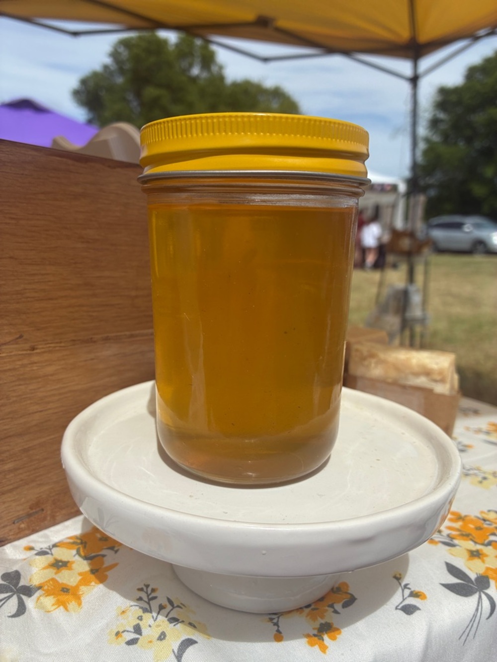 Organic dandelion petal jelly from our 40 acre farm. Divine taste. 8 oz.